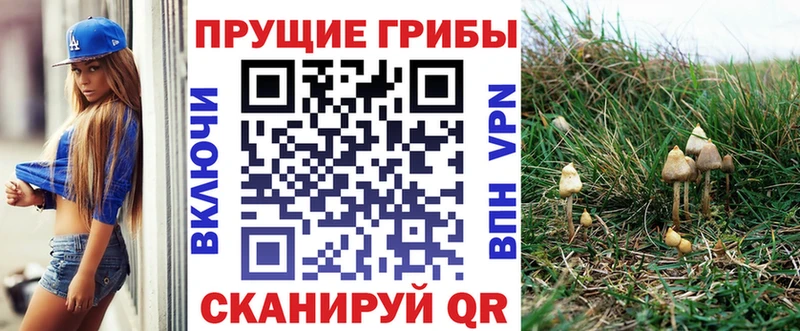 Купить где  Туймазы  Псилоцибиновые грибы Magic Shrooms 